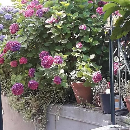 Lägenhet Casa Michela
